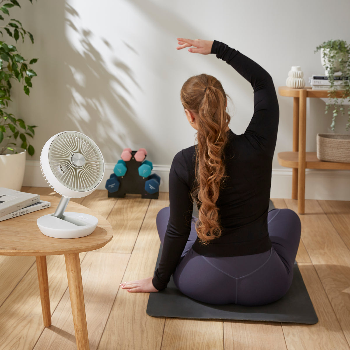 BreezePod kabelloser Tischventilator